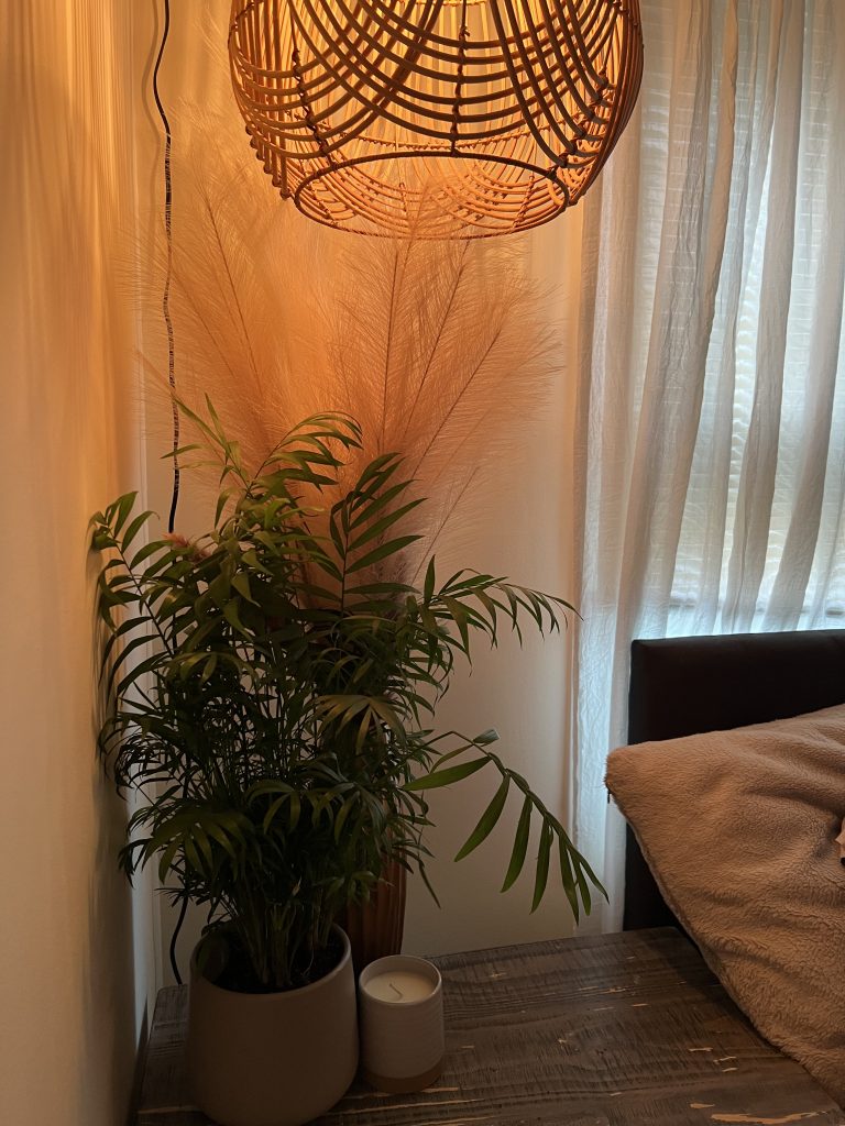 a potted plant with a hanging pendant light above it nestled with feathers